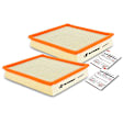 APEAF429 2 Pcs Engine Air Filter