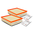 APEAF431 2 Pcs Engine Air Filter