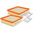 APEAF435 2 Pcs Engine Air Filter