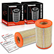 APEAF438 2 Pcs Engine Air Filter