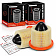 APEAF442 2 Pcs Engine Air Filter