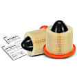 APEAF442 2 Pcs Engine Air Filter