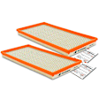 APEAF446 2 Pcs Engine Air Filter