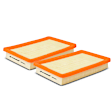 APEAF450 2 Pcs Engine Air Filter