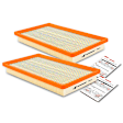 APEAF456 2 Pcs Engine Air Filter
