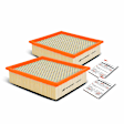 APEAF458 2 Pcs Engine Air Filter