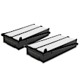 APEAF462 2 Pcs Engine Air Filter
