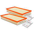 APEAF465 2 Pcs Engine Air Filter