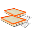 APEAF472 2 Pcs Engine Air Filter