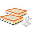 APEAF474 2 Pcs Engine Air Filter