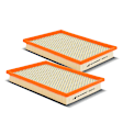 APEAF485 2 Pcs Engine Air Filter