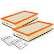 APEAF493 2 Pcs Engine Air Filter