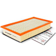 APEAF494 Engine Air Filter