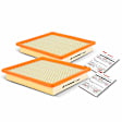 APEAF509 2 Pcs Engine Air Filter
