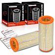APEAF517 2 Pcs Engine Air Filter