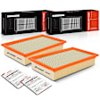 APEAF519 2 Pcs Engine Air Filter
