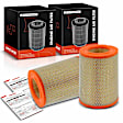 APEAF521 2 Pcs Engine Air Filter