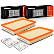 APEAF529 2 Pcs Engine Air Filter