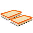 APEAF529 2 Pcs Engine Air Filter