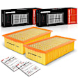 APEAF531 2 Pcs Engine Air Filter