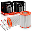 APEAF541 2 Pcs Engine Air Filter