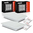 APEAF556 2 Pcs Engine Air Filter