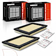 APEAF560 2 Pcs Engine Air Filter