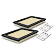 APEAF560 2 Pcs Engine Air Filter