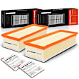 APEAF564 2 Pcs Engine Air Filter