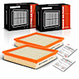 APEAF566 2 Pcs Engine Air Filter