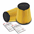 APEAF593 2 Pcs Engine Air Filter