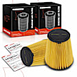 APEAF593 2 Pcs Engine Air Filter