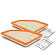 APEAF595 2 Pcs Engine Air Filter