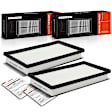 APEAF602 2 Pcs Engine Air Filter