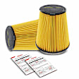 APEAF605 2 Pcs Engine Air Filter