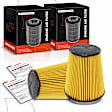 APEAF605 2 Pcs Engine Air Filter