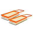 APEAF608 2 Pcs Engine Air Filter