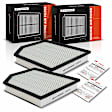 APEAF620 2 Pcs Engine Air Filter