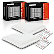 APEAF647 2 Pcs Engine Air Filter