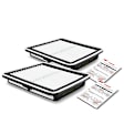 APEAF655 2 Pcs Engine Air Filter