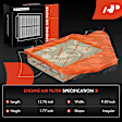 APEAF775 Engine & Activated Carbon Cabin Air Filter