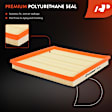 APEAF779 Engine & Activated Carbon Cabin Air Filter