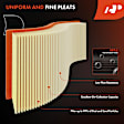 APEAF780 Engine & Activated Carbon Cabin Air Filter