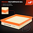 APEAF791 Engine & Activated Carbon Cabin Air Filter