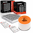 APEAF795 Engine & Activated Carbon Cabin Air Filter