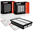 APEAF841 Engine & Carbon Cabin Air Filter