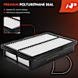 APEAF841 Engine & Carbon Cabin Air Filter