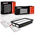 APEAF875 Engine & Carbon Cabin Air Filter