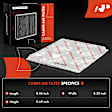 APEAF930 Engine & Carbon Cabin Air Filter
