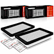APEAF938 2 Pcs Engine Air Filter